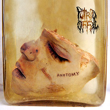 Putrid Offal - Anatomy (2017)