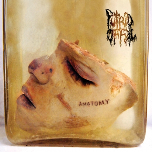 Putrid Offal - Anatomy (EP) (2017)